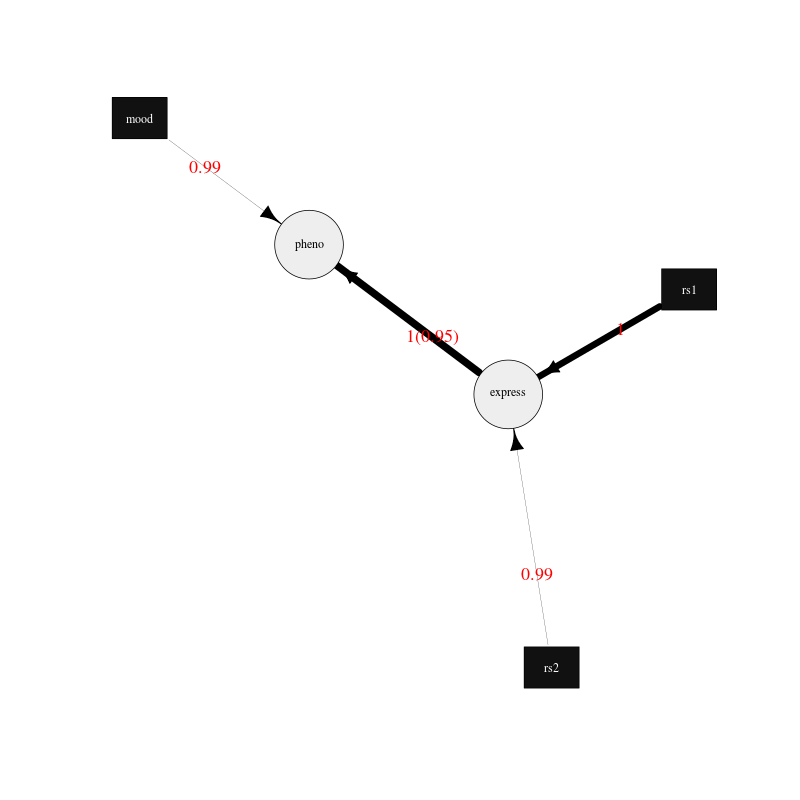 _images/ave-graph-example.png