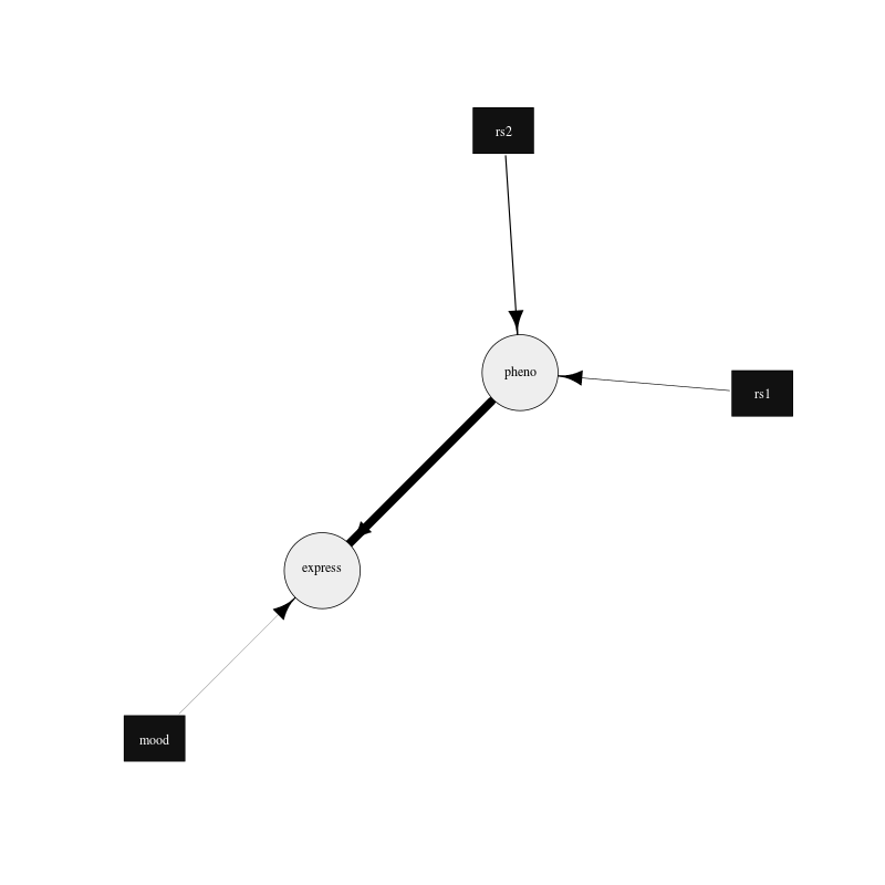 _images/exampleGraph.png