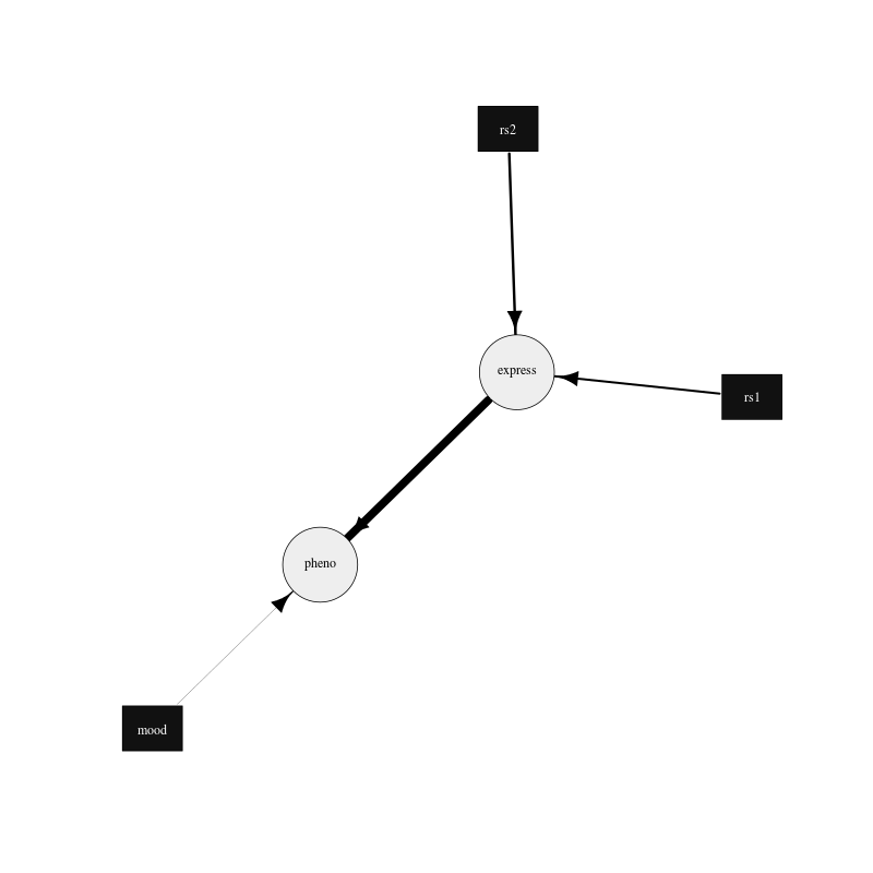 _images/exampleGraph2.png
